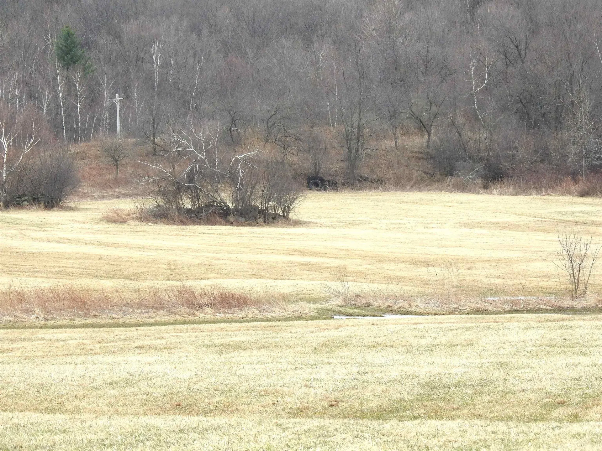 2140 Sheldon Road Swanton VT 05488