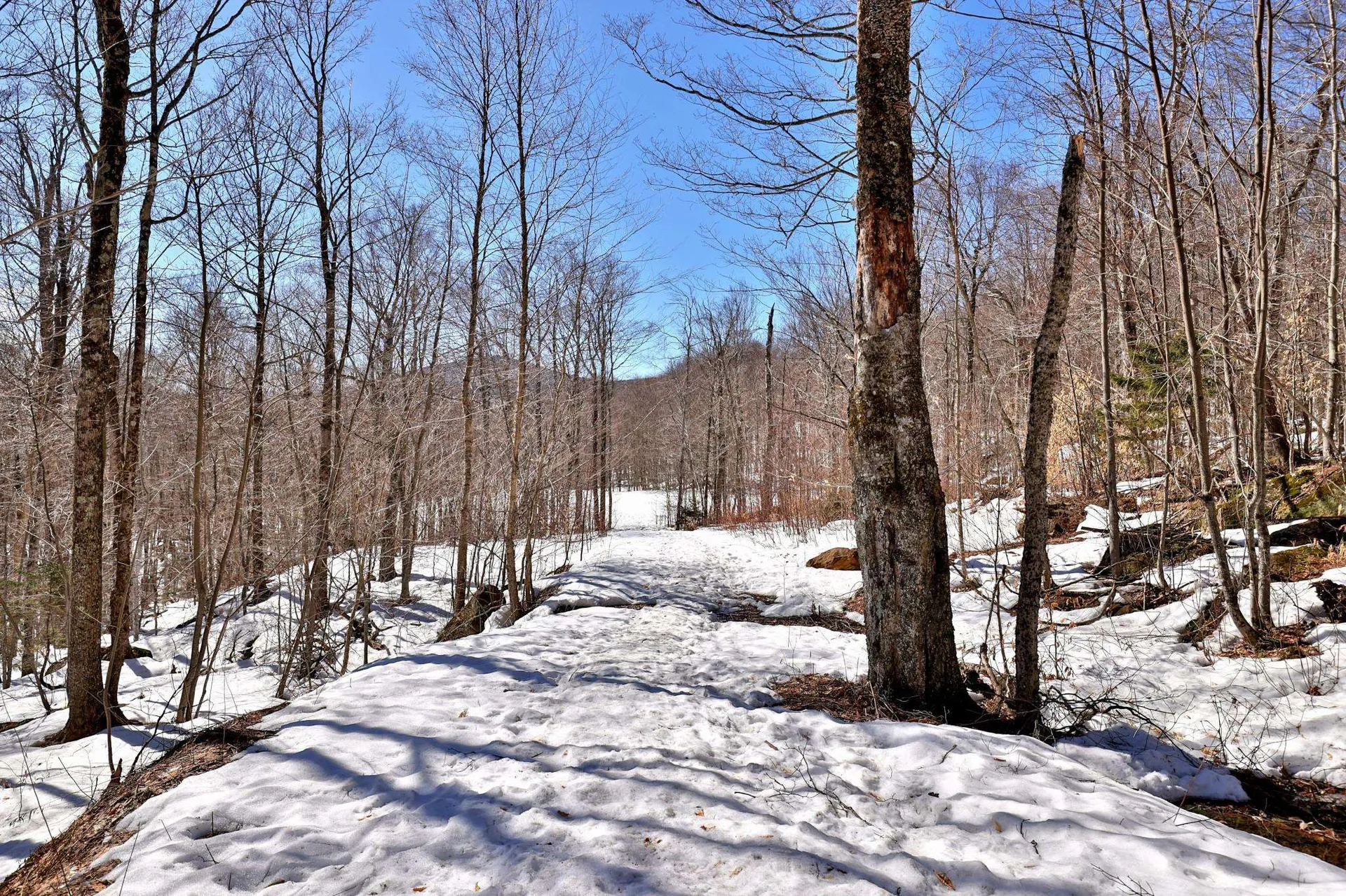 191 Trailview Drive Killington VT 05751