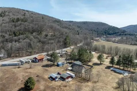 54 Twitchell Settlement Rochester VT 05767