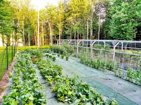11 Clark Road Underhill VT 05489