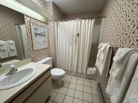 124 Village Green Drive Stowe VT 05672