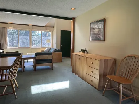 124 Village Green Drive Stowe VT 05672
