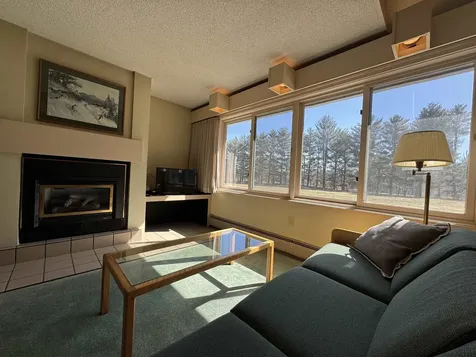 124 Village Green Drive Stowe VT 05672