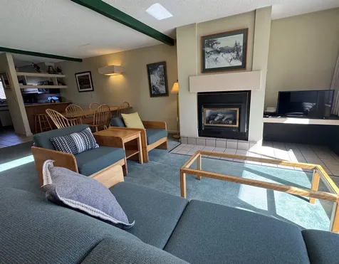124 Village Green Drive Stowe VT 05672