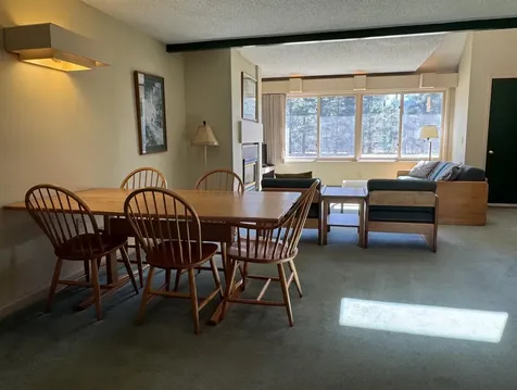 124 Village Green Drive Stowe VT 05672