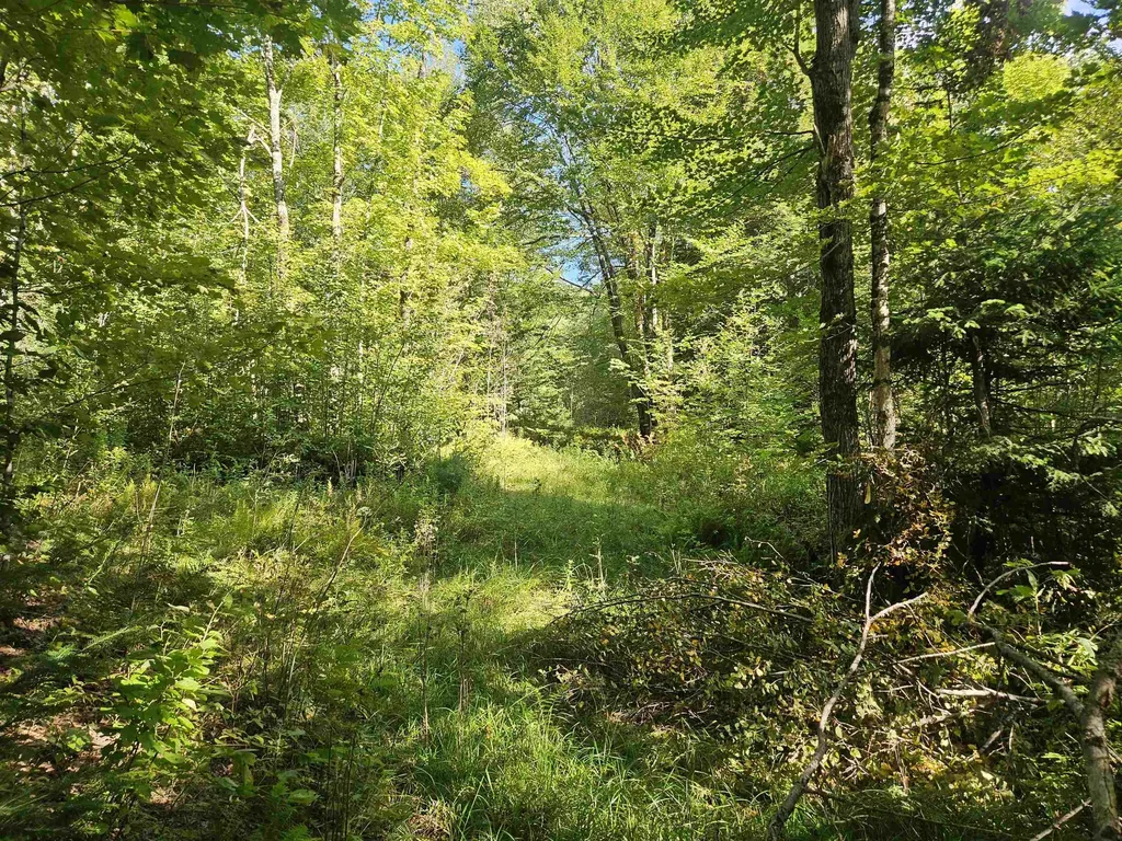 1230 Pinkham Road Burke VT 05832