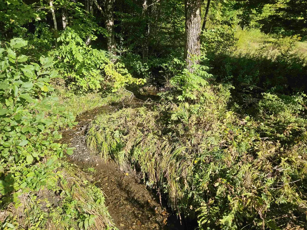 1230 Pinkham Road Burke VT 05832