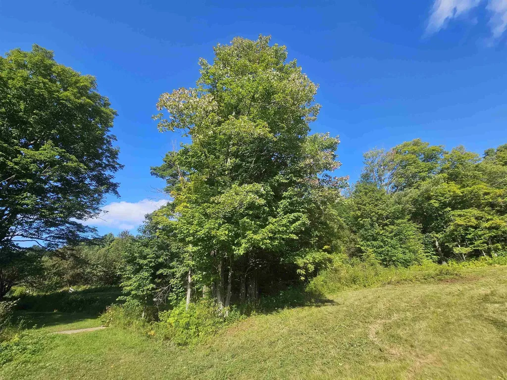 1230 Pinkham Road Burke VT 05832