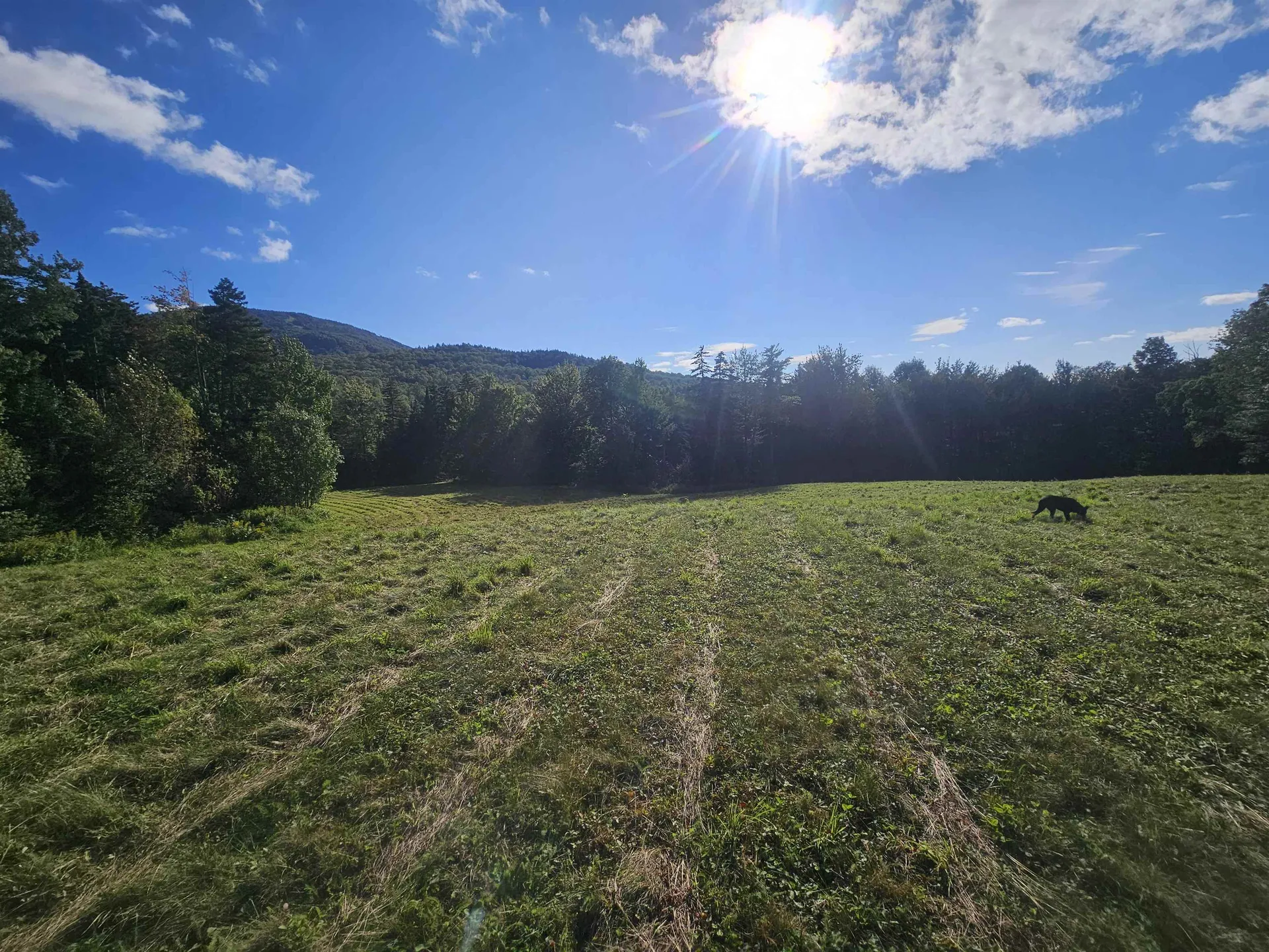 1230 Pinkham Road Burke VT 05832