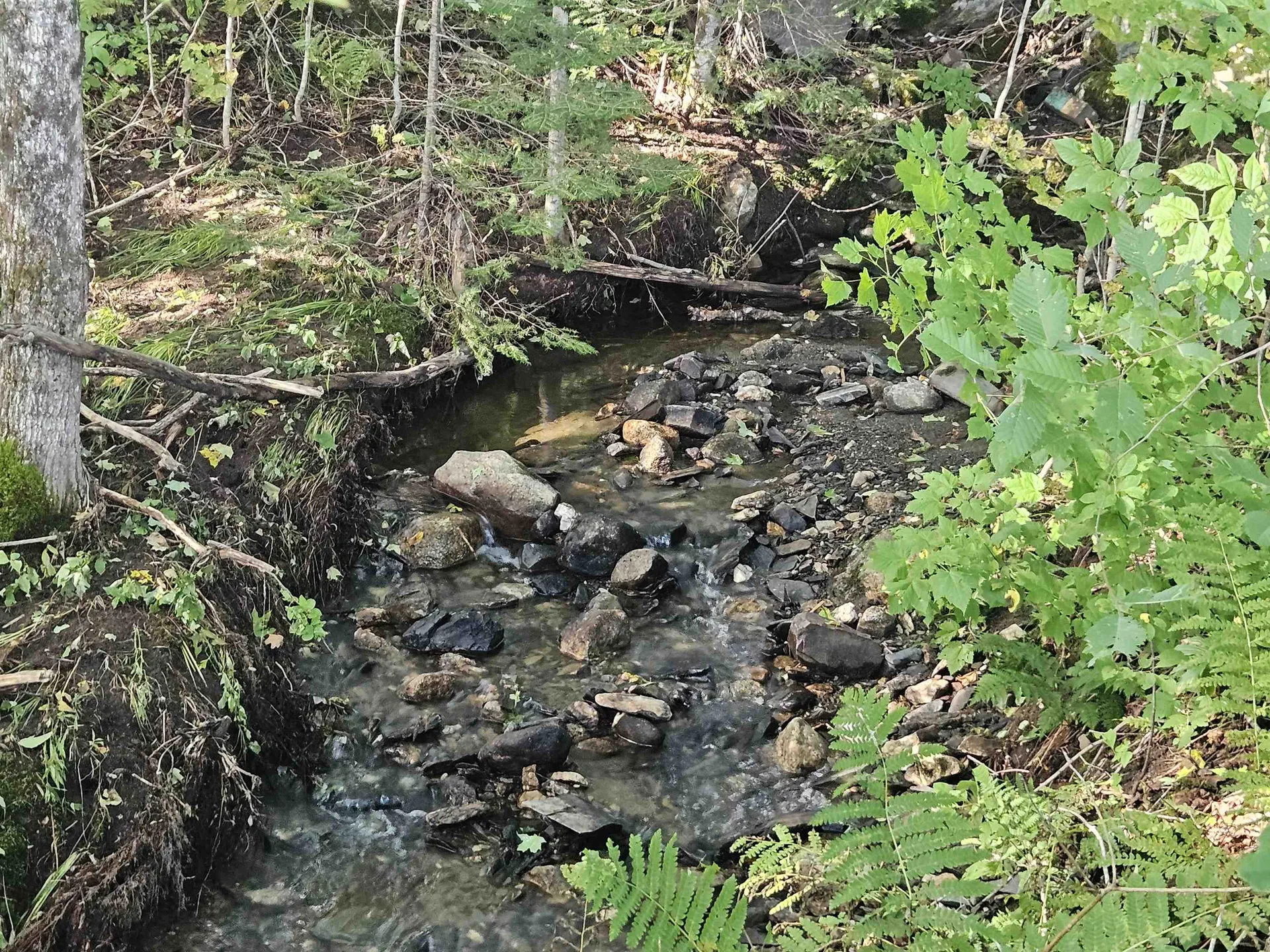 1230 Pinkham Road Burke VT 05832