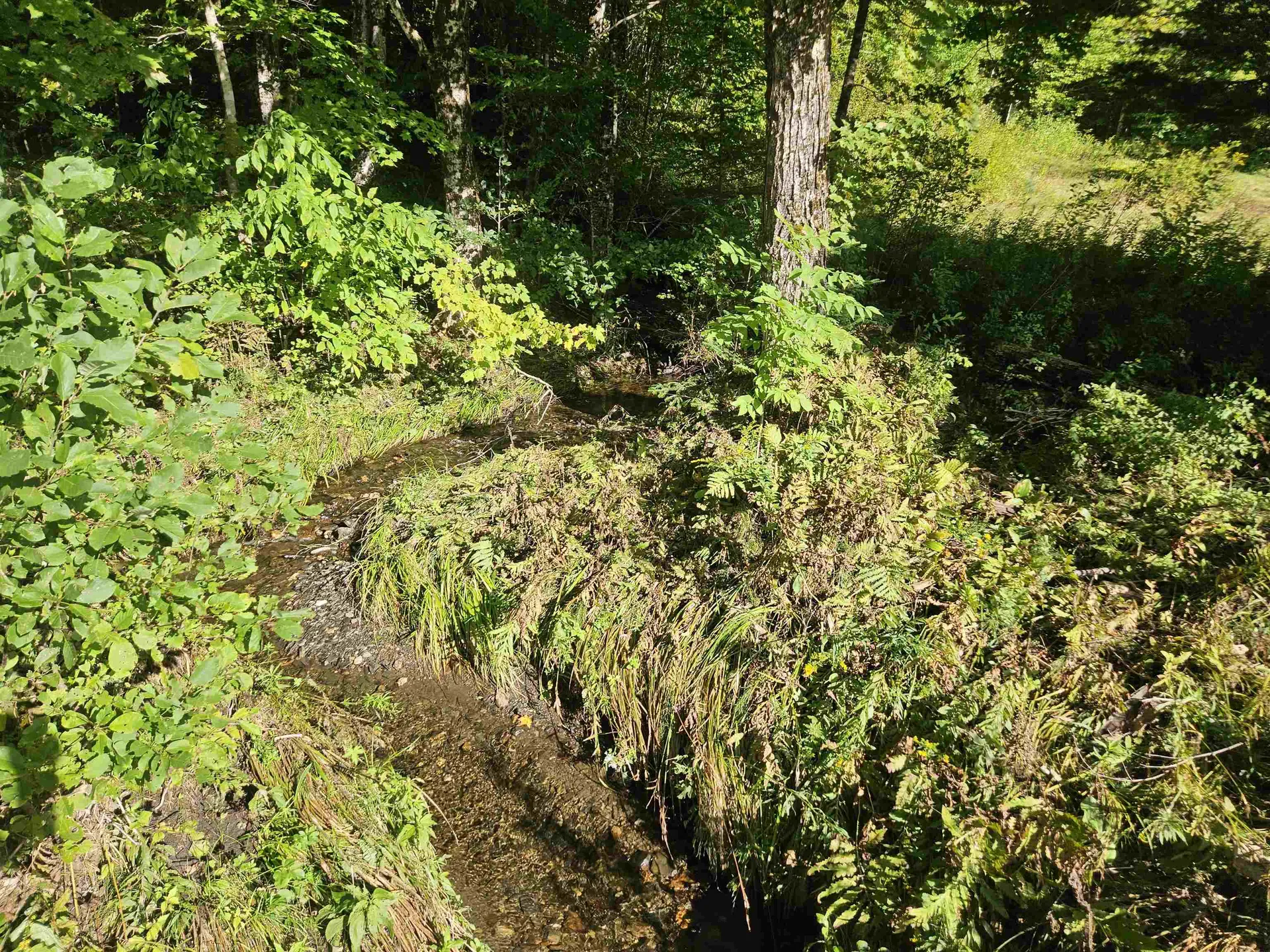 1230 Pinkham Road Burke VT 05832