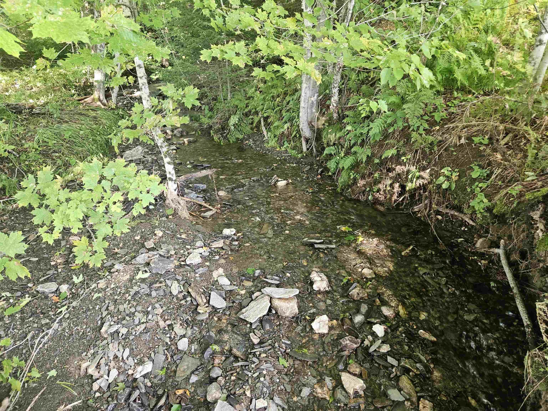 1230 Pinkham Road Burke VT 05832