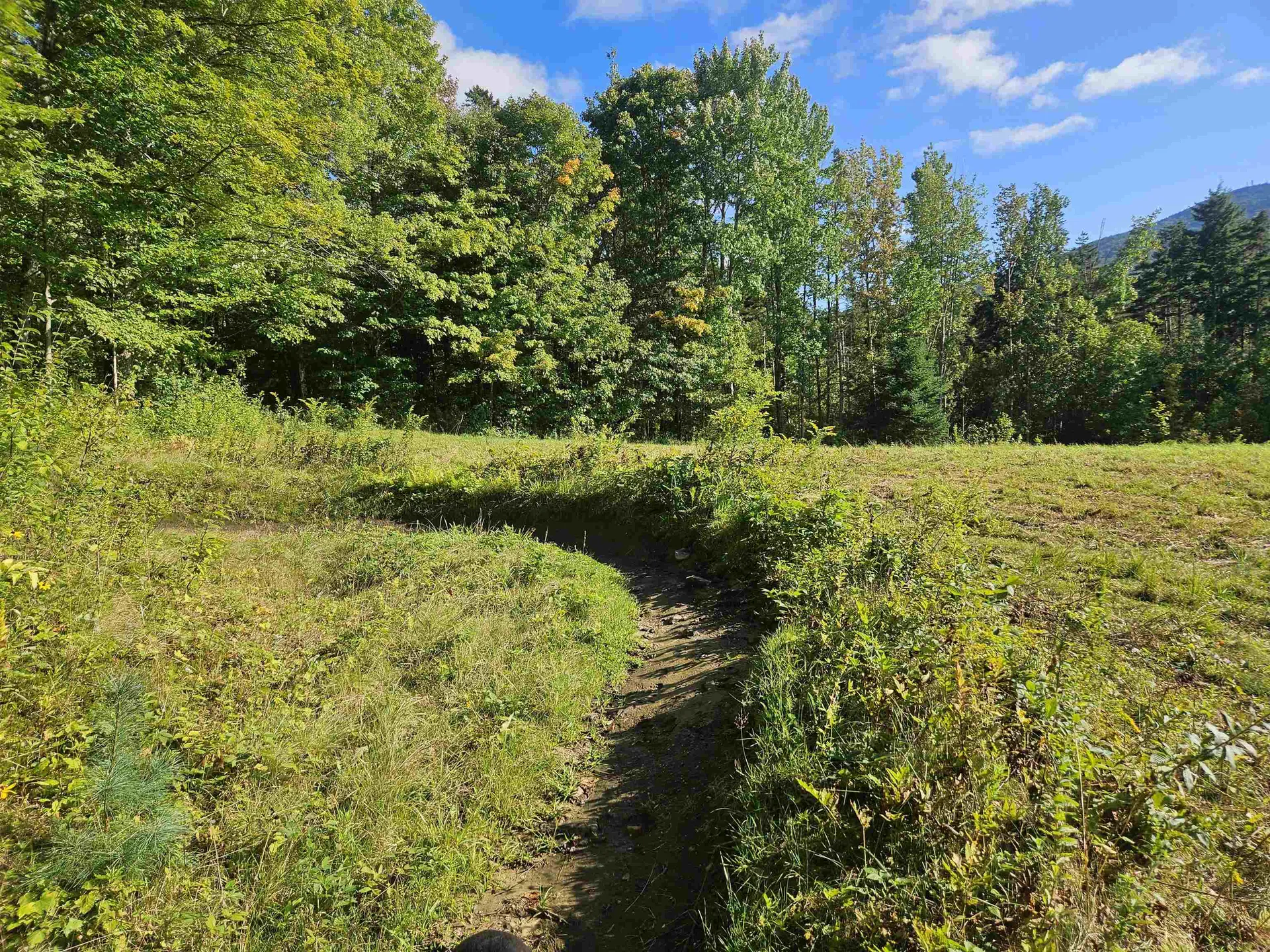 1230 Pinkham Road Burke VT 05832