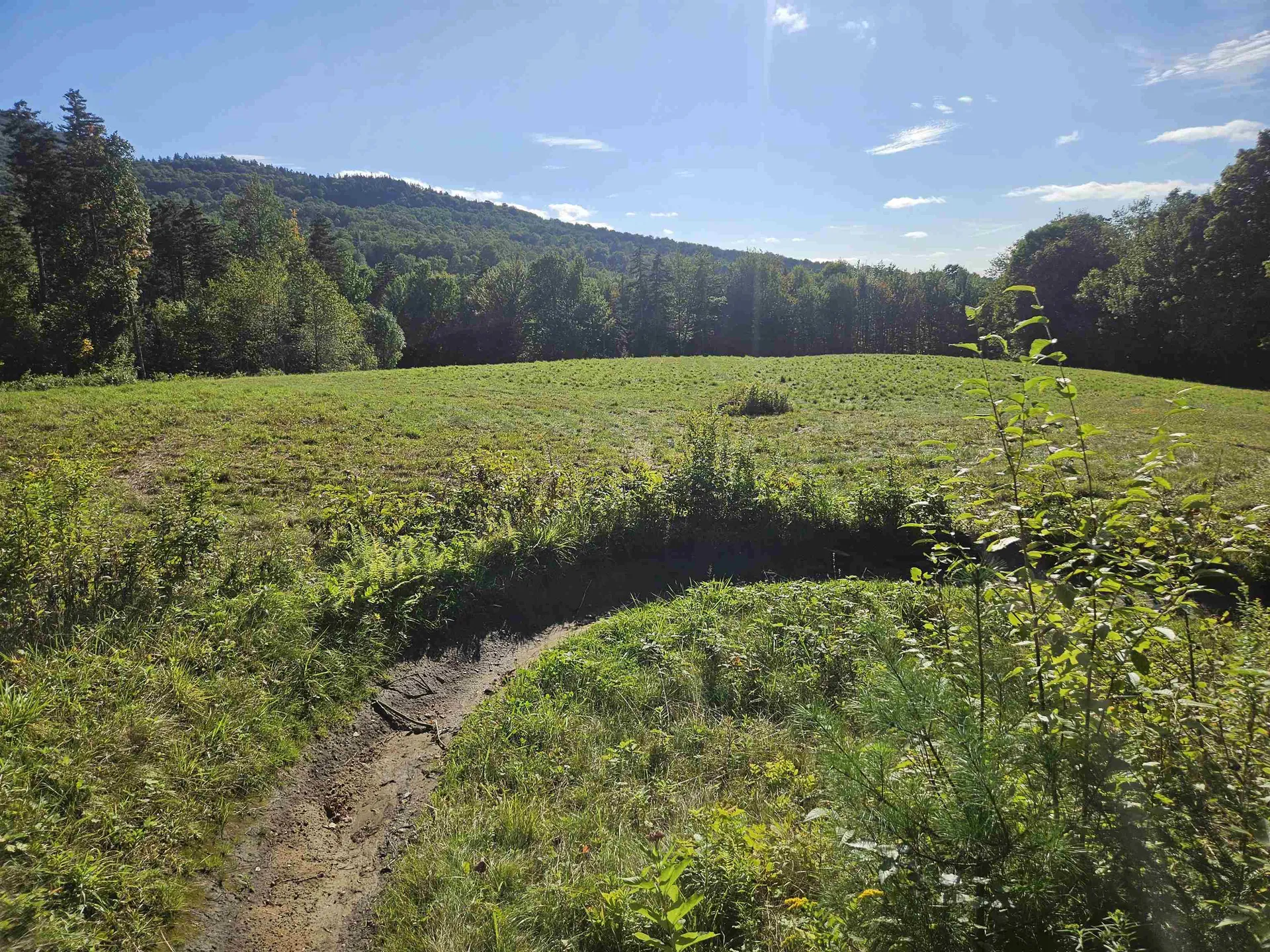 1230 Pinkham Road Burke VT 05832