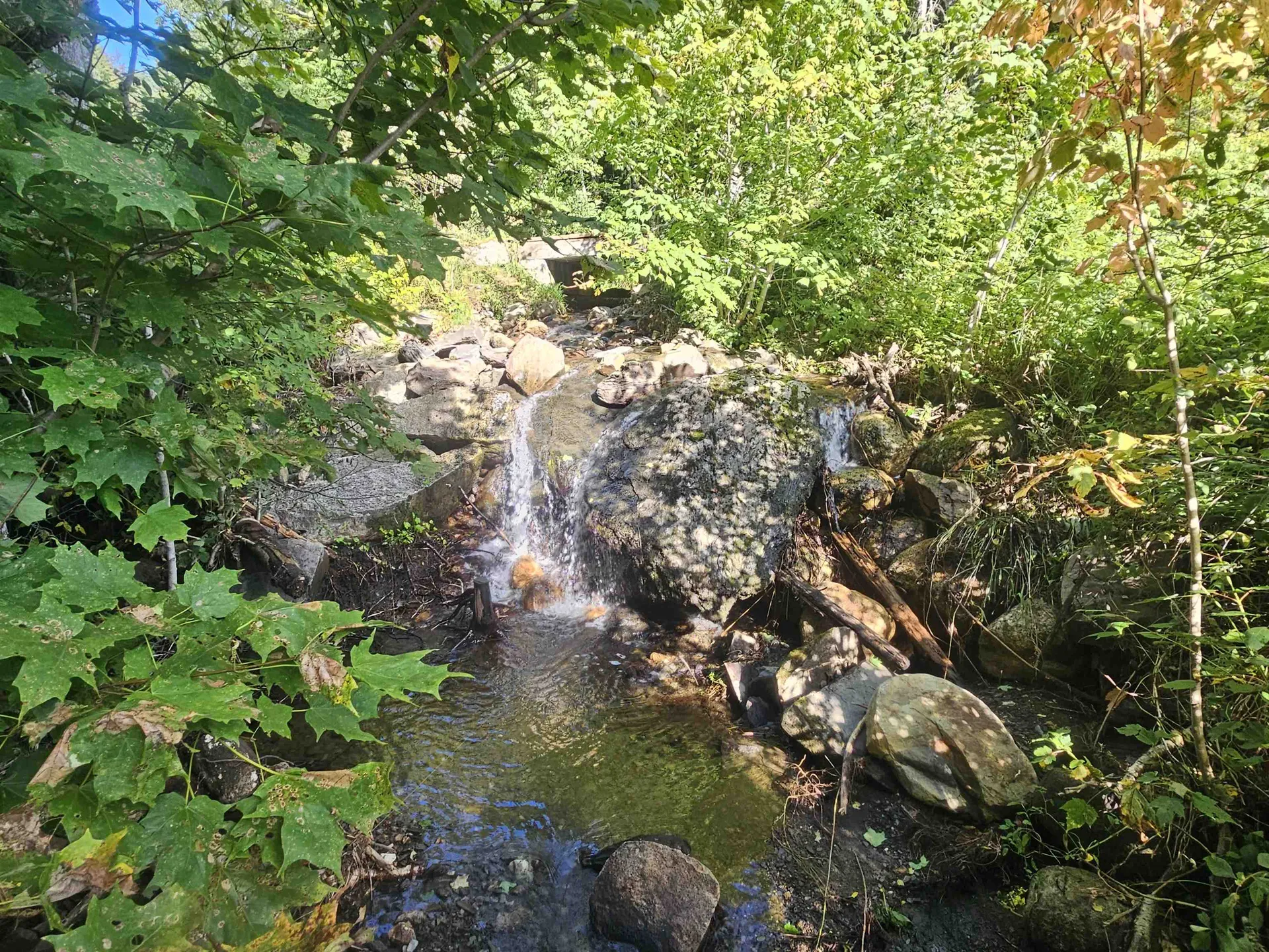 1230 Pinkham Road Burke VT 05832