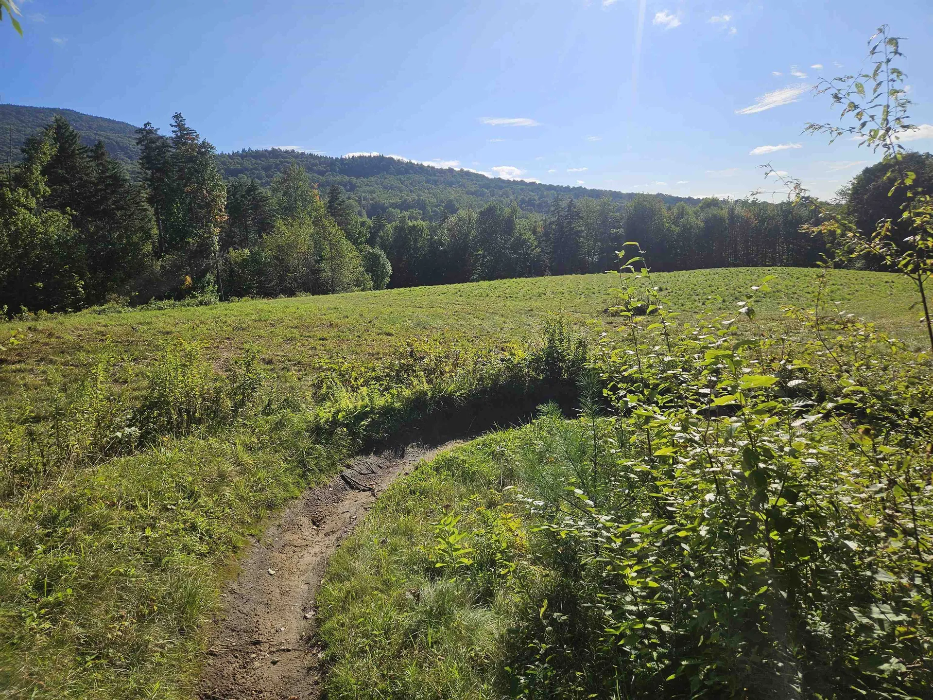 1230 Pinkham Road Burke VT 05832