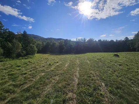 1230 Pinkham Road Burke VT 05832