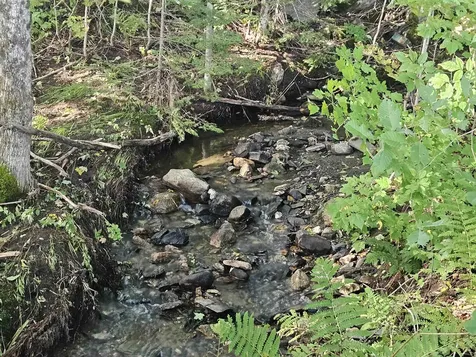 1230 Pinkham Road Burke VT 05832