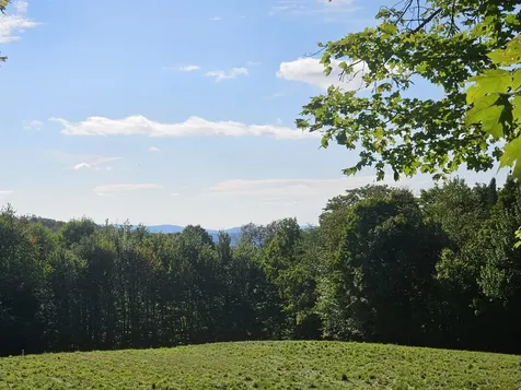 1230 Pinkham Road Burke VT 05832