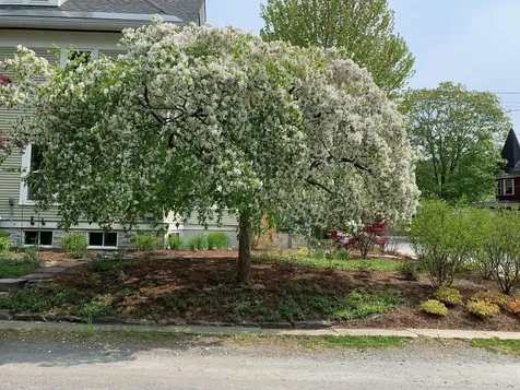 16 Summer Street Montpelier VT 05602