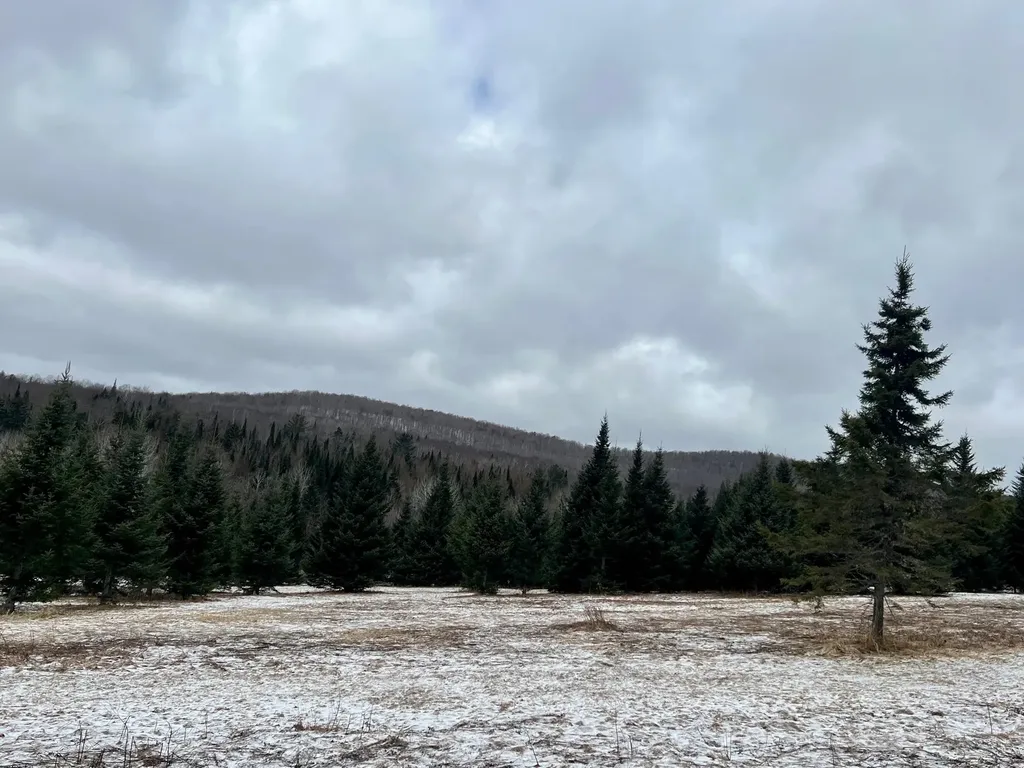 - Frizzell Road Lemington VT 05903