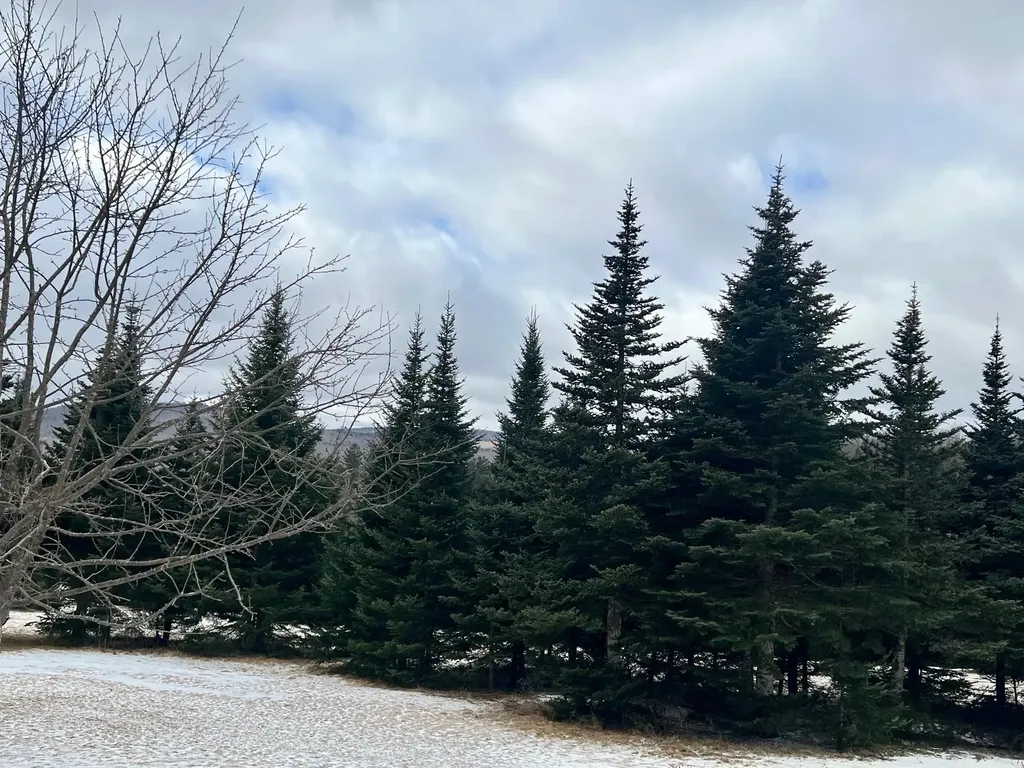 - Frizzell Road Lemington VT 05903