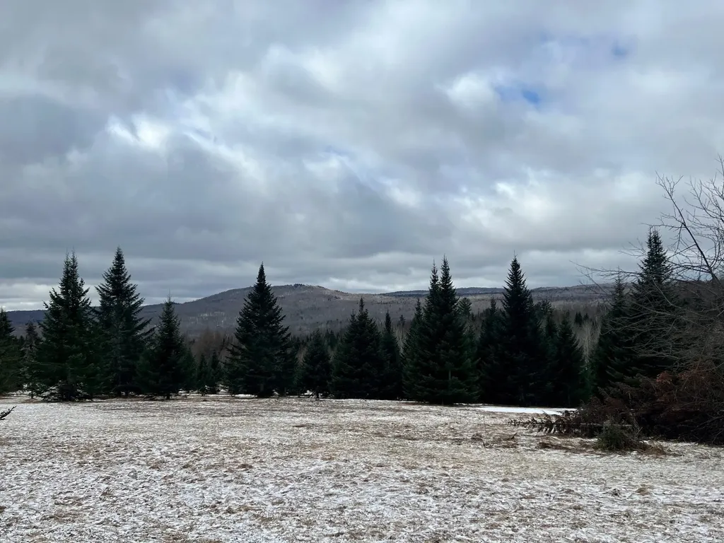 - Frizzell Road Lemington VT 05903