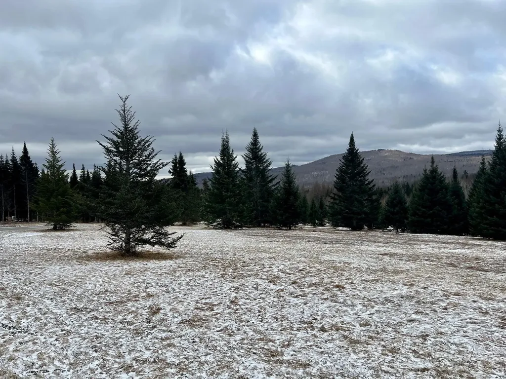 - Frizzell Road Lemington VT 05903