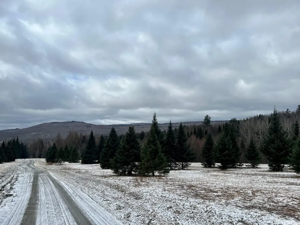 - Frizzell Road Lemington VT 05903