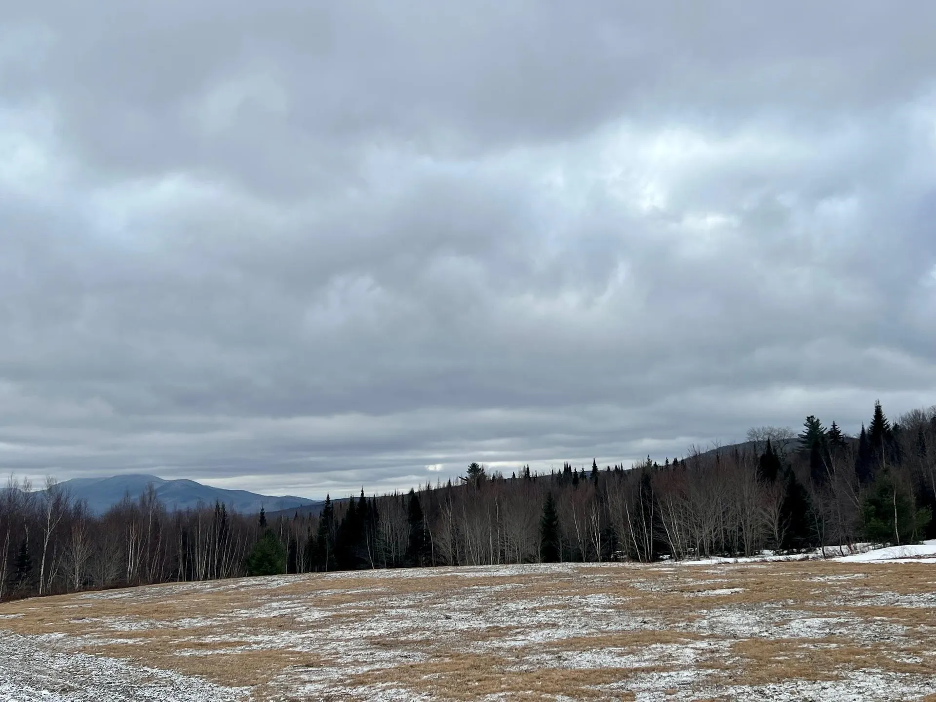 - Frizzell Road Lemington VT 05903