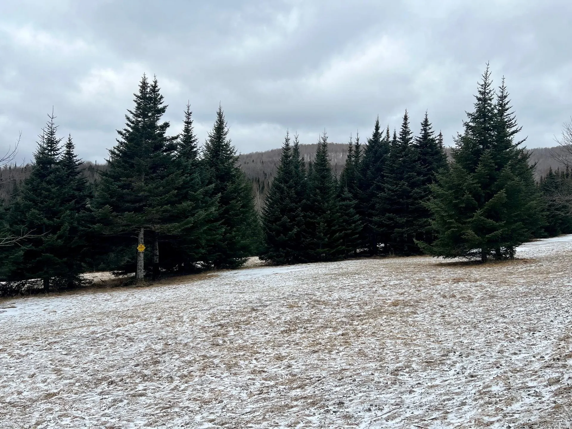 - Frizzell Road Lemington VT 05903