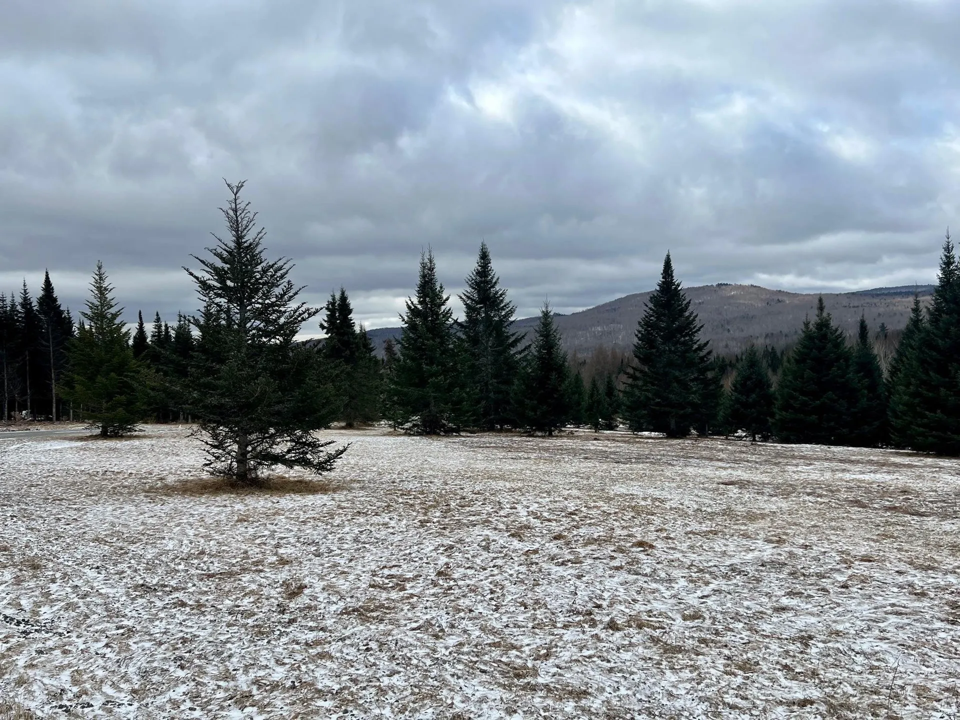 - Frizzell Road Lemington VT 05903