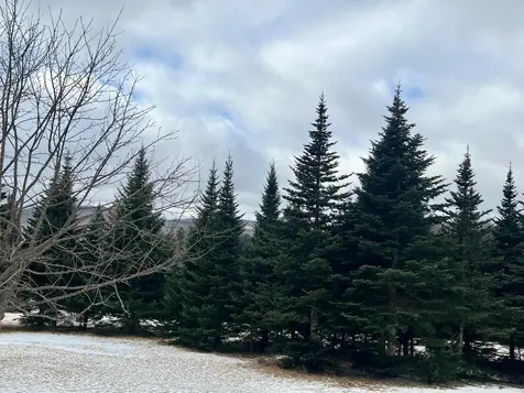 - Frizzell Road Lemington VT 05903