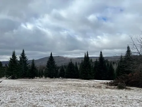 - Frizzell Road Lemington VT 05903