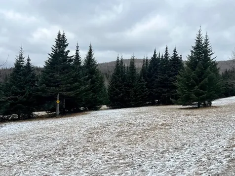 - Frizzell Road Lemington VT 05903