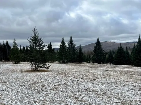 - Frizzell Road Lemington VT 05903