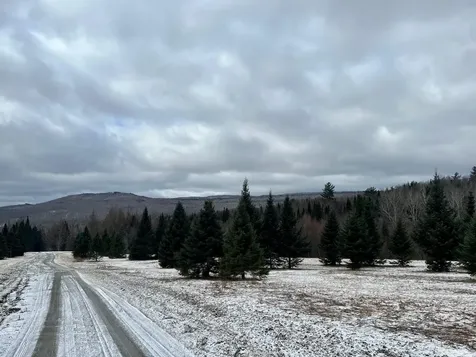 - Frizzell Road Lemington VT 05903