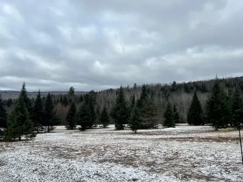 - Frizzell Road Lemington VT 05903