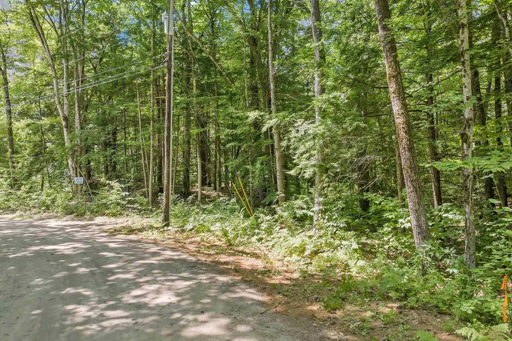 Lot 20 Smoke Rise Road New Hampton NH 03256