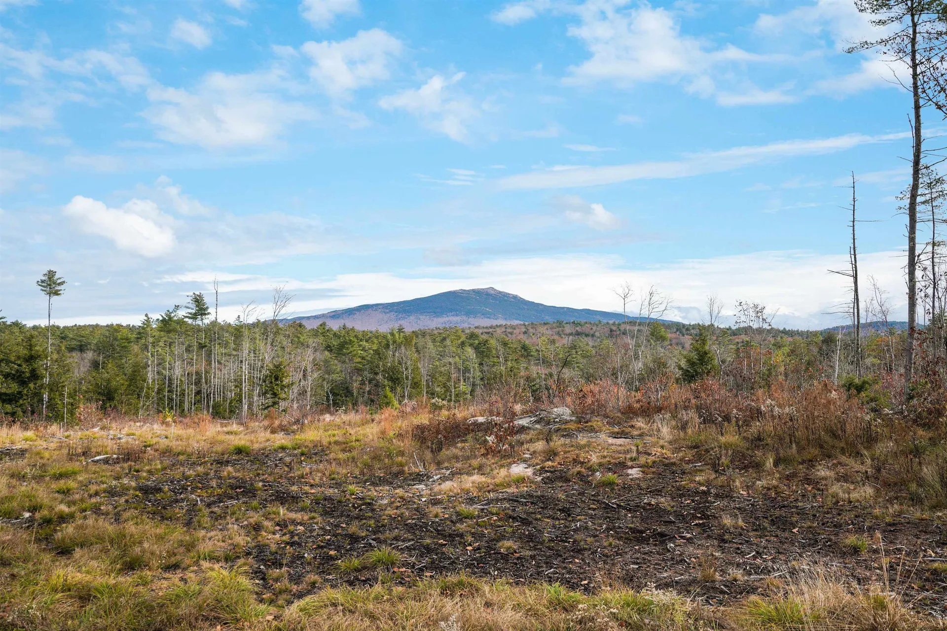 Lot 8 Maple Lane Marlborough NH 03456