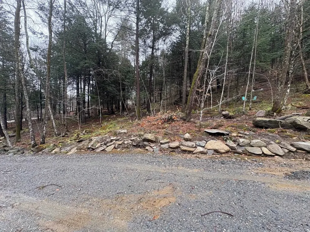 58 Remington Road Chester VT 05143