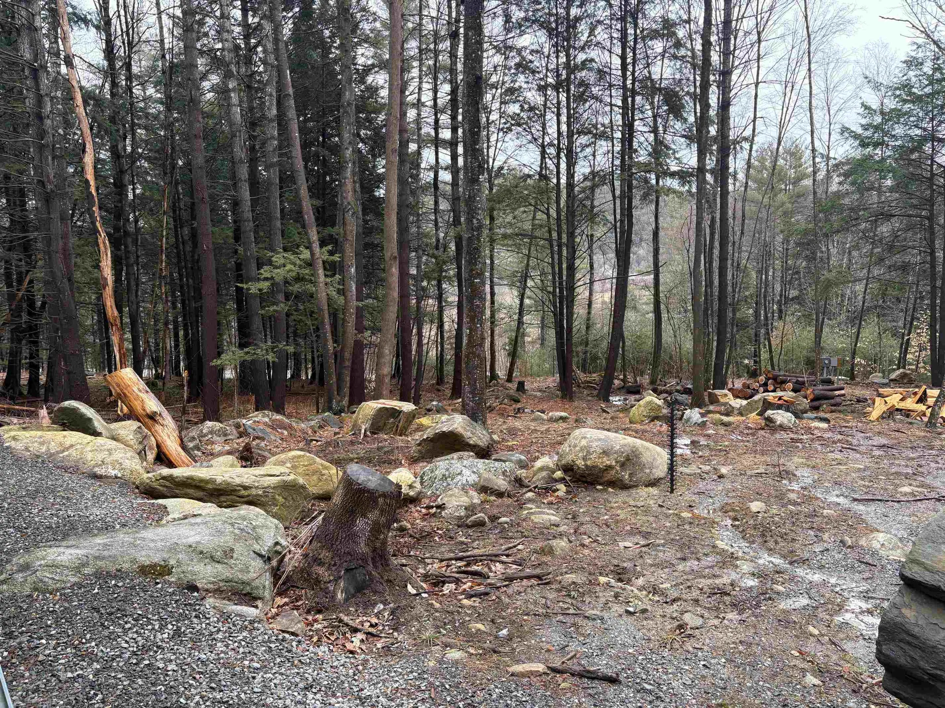 58 Remington Road Chester VT 05143