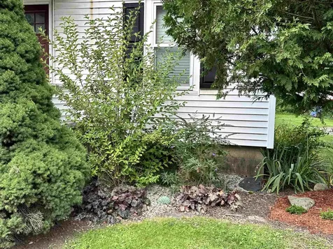 81 Davis Avenue Northfield VT 05663