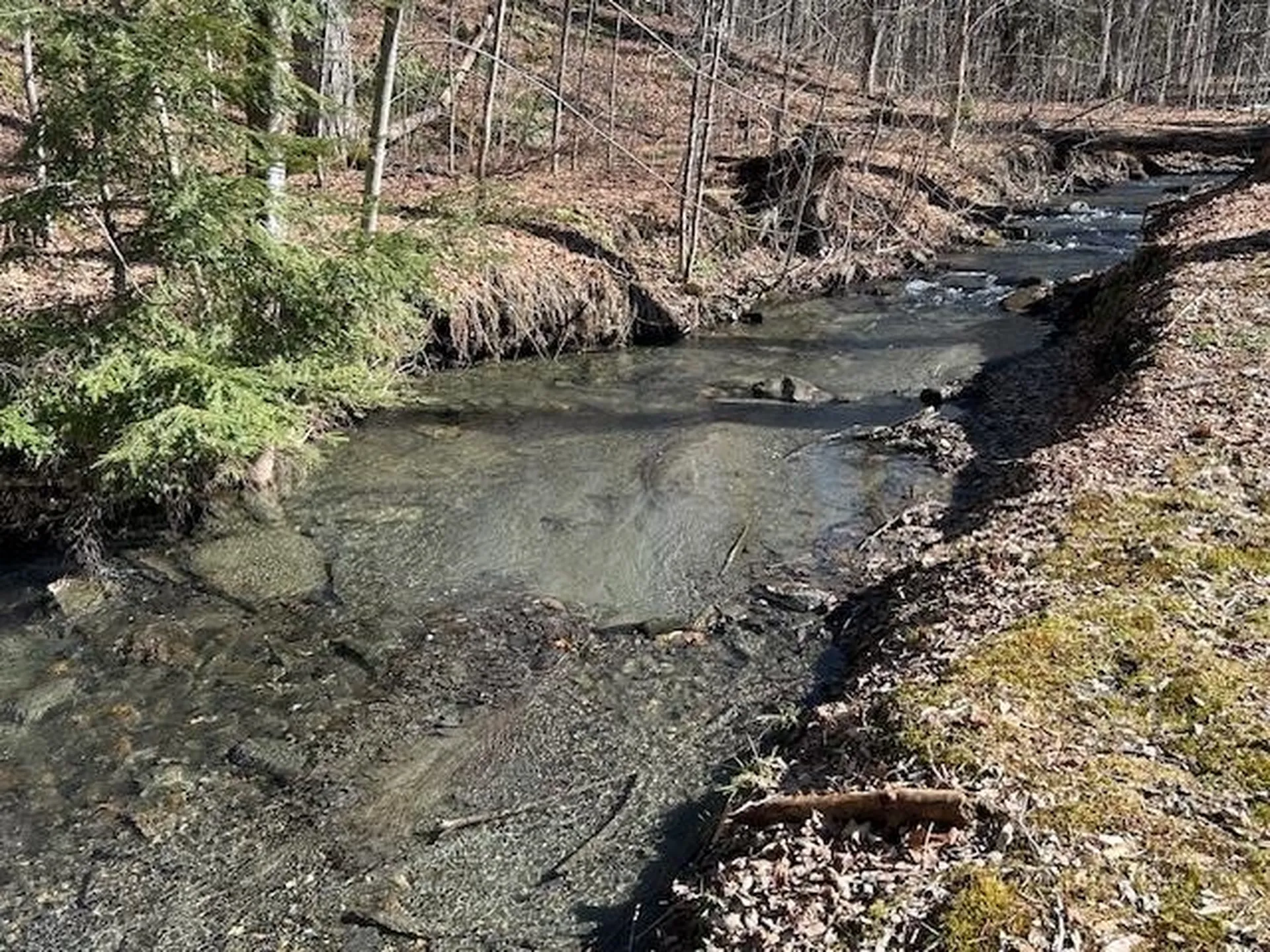 3810 North Road Royalton VT 05068