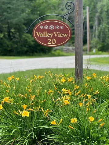 20 Jamie Lane Winhall VT 05340