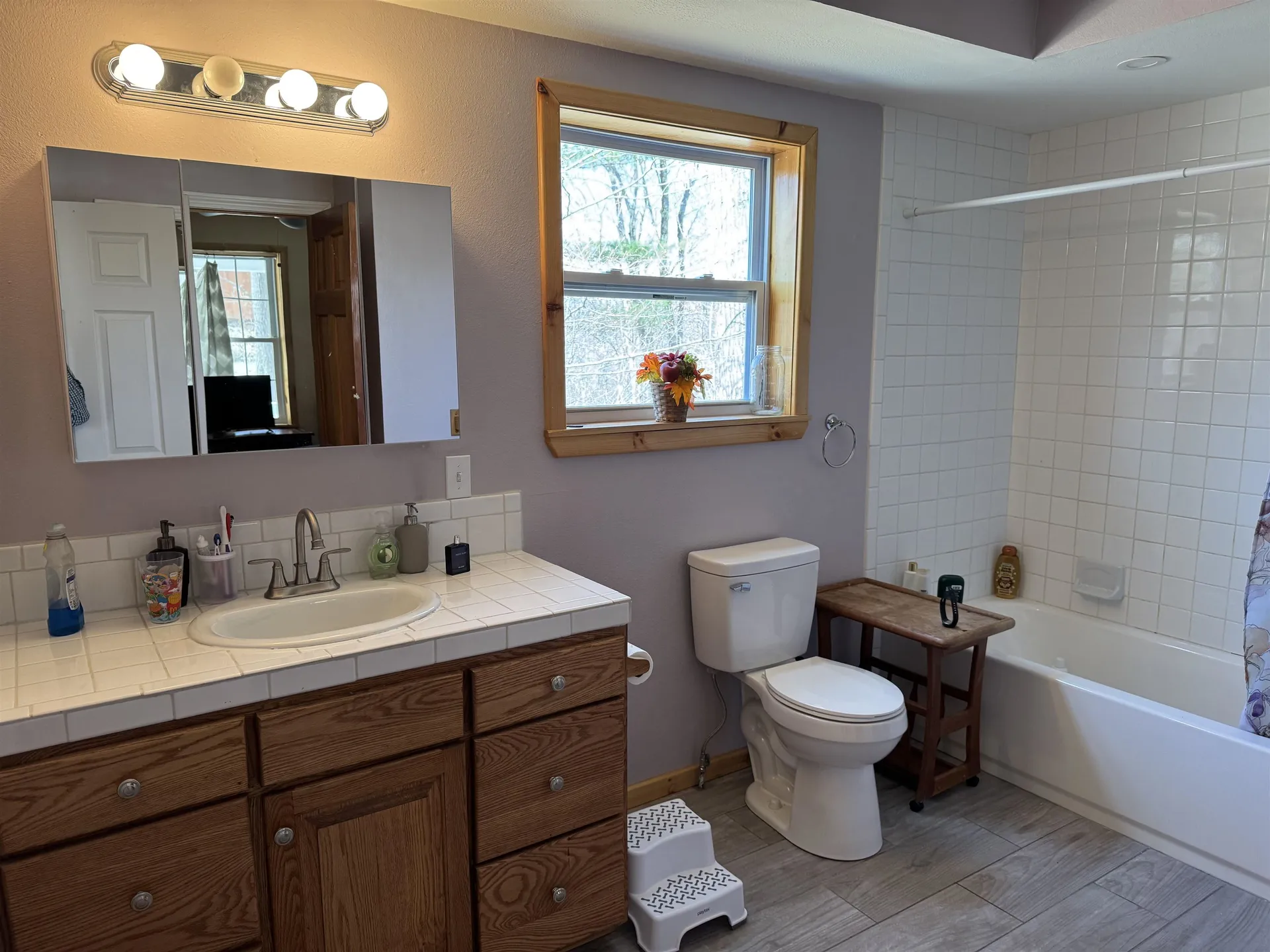 36 Larry Drive Alton NH 03810