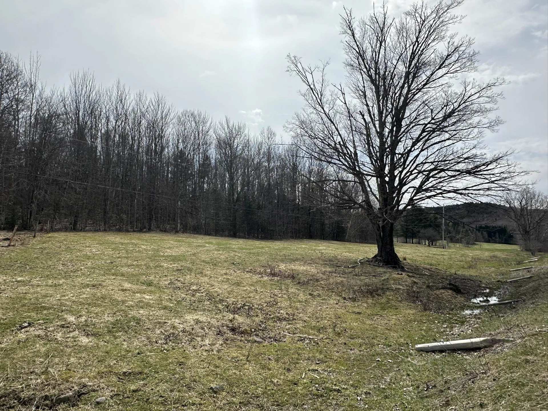 0 West Woodbury Road Woodbury VT 05681