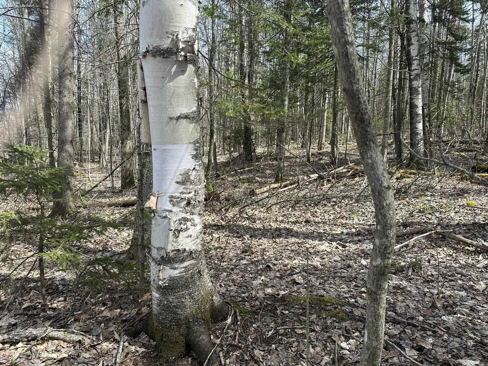 0 West Woodbury Road Woodbury VT 05681