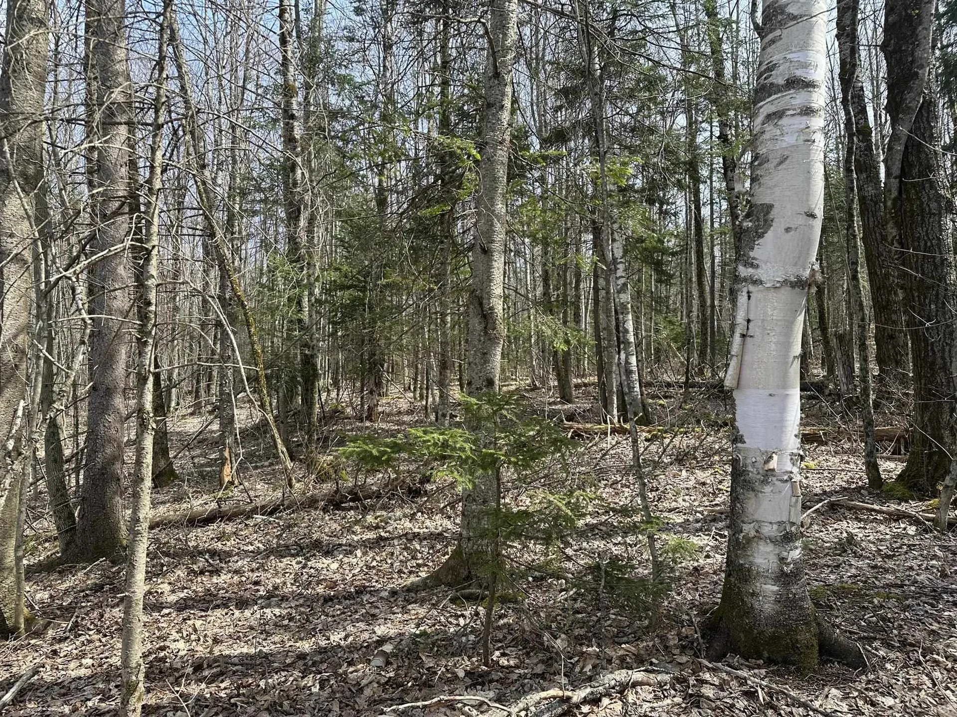 0 West Woodbury Road Woodbury VT 05681