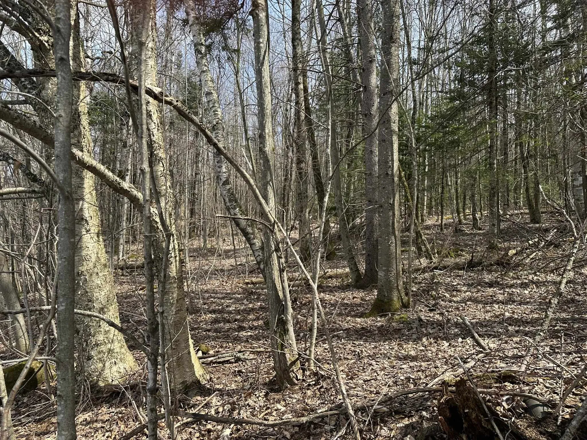 0 West Woodbury Road Woodbury VT 05681